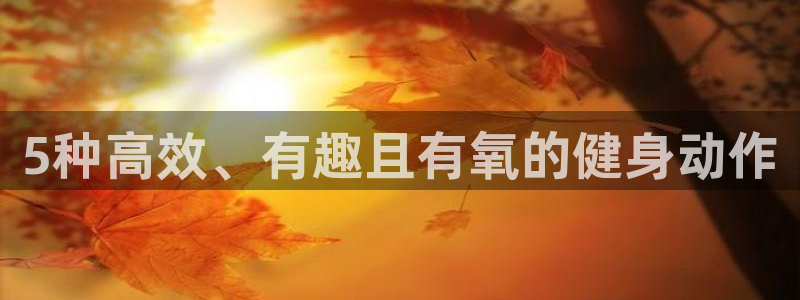 凯捷体育代理