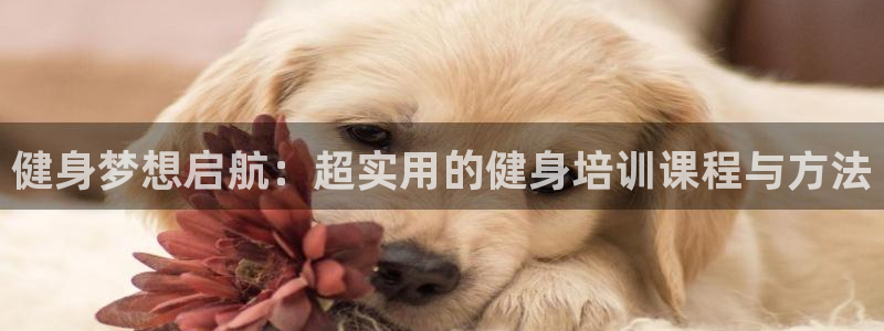 凯捷体育注册